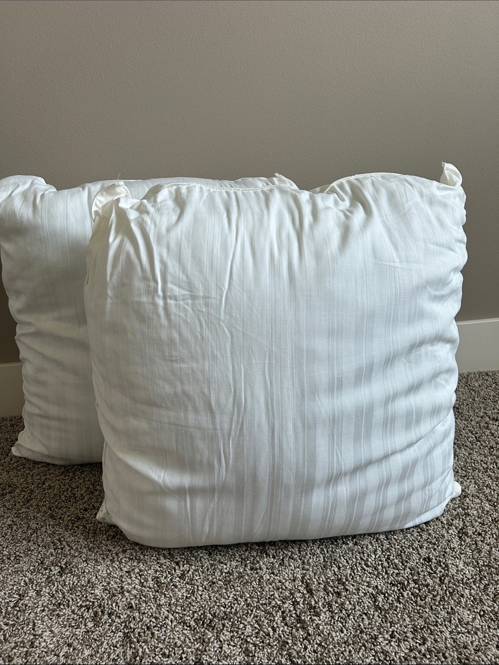 26x26 Sleep Basics Square Euro Pillow Inserts - Set of 2